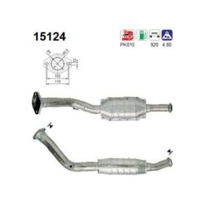 AS 15124 - Catalyseur