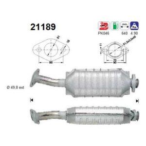 AS 21189 - Catalyseur