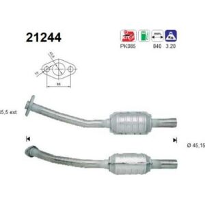 AS 21244 - Catalyseur