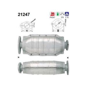 AS 21247 - Catalyseur