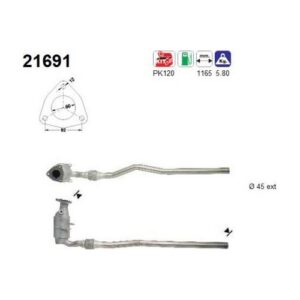 AS 21691 - Catalyseur