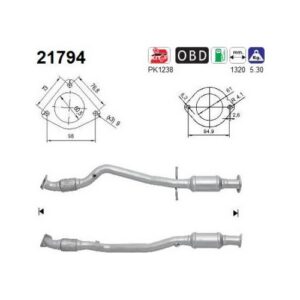 AS 21794 - Catalyseur