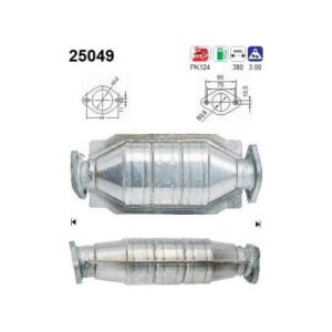 AS 25049 - Catalyseur