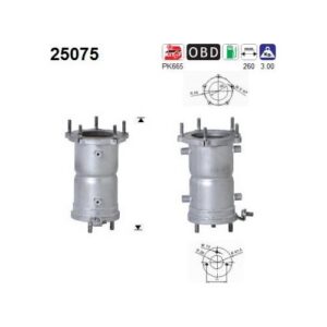 AS 25075 - Catalyseur