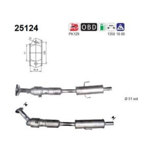AS 25124 - Catalyseur