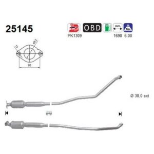 AS 25145 - Catalyseur