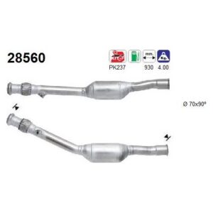 AS 28560 - Catalyseur