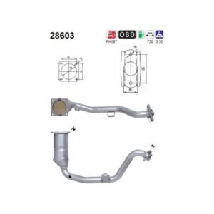 AS 28603 - Catalyseur