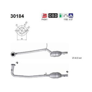 AS 30184 - Catalyseur