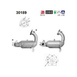 AS 30189 - Catalyseur