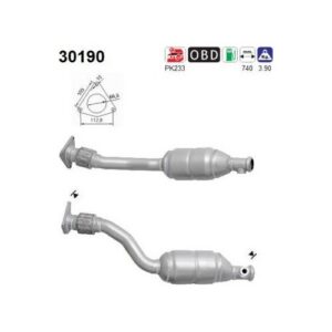 AS 30190 - Catalyseur