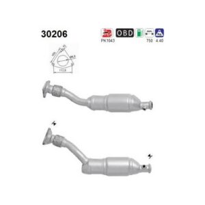 AS 30206 - Catalyseur
