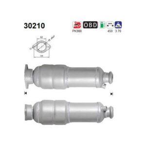 AS 30210 - Catalyseur