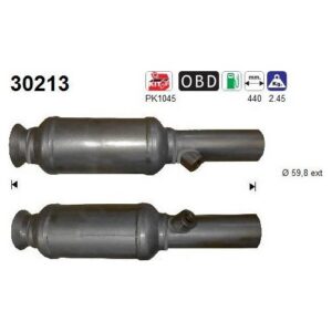 AS 30213 - Catalyseur