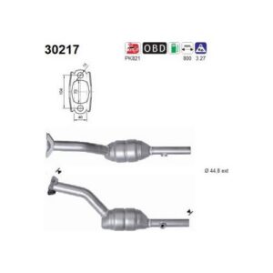 AS 30217 - Catalyseur