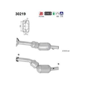 AS 30219 - Catalyseur
