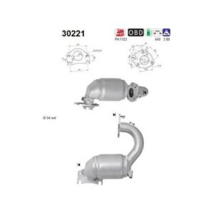 AS 30221 - Catalyseur