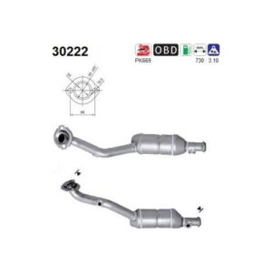 AS 30222 - Catalyseur