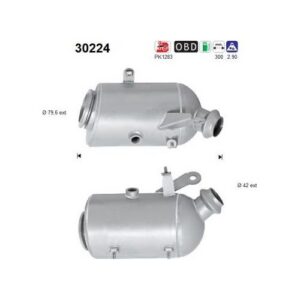 AS 30224 - Catalyseur