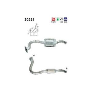 AS 30231 - Catalyseur