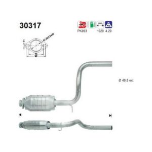 AS 30317 - Catalyseur