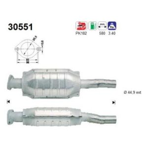 AS 30551 - Catalyseur