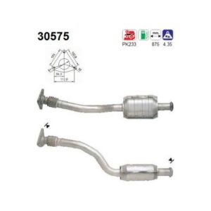 AS 30575 - Catalyseur