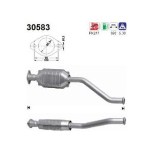 AS 30583 - Catalyseur