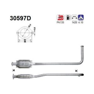 AS 30597D - Catalyseur