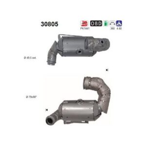 AS 30805 - Catalyseur