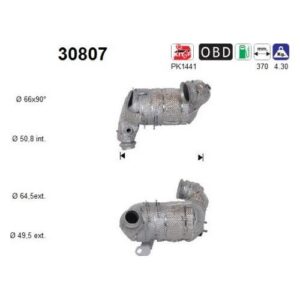 AS 30807 - Catalyseur