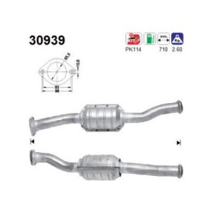 AS 30939 - Catalyseur