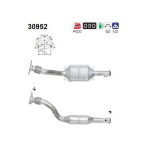 AS 30952 - Catalyseur
