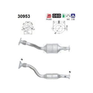 AS 30953 - Catalyseur