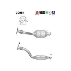 AS 30954 - Catalyseur
