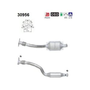 AS 30956 - Catalyseur