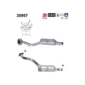 AS 30957 - Catalyseur