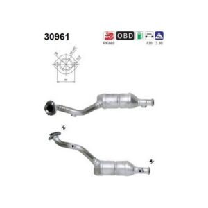 AS 30961 - Catalyseur