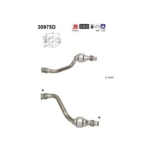 AS 30975D - Catalyseur