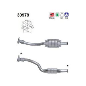 AS 30979 - Catalyseur