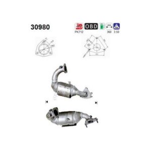 AS 30980 - Catalyseur