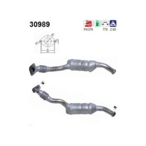 AS 30989 - Catalyseur