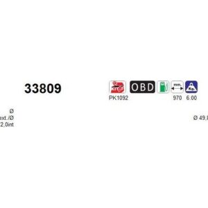 AS 33809 - Catalyseur