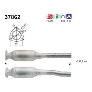 AS 37862 - Catalyseur