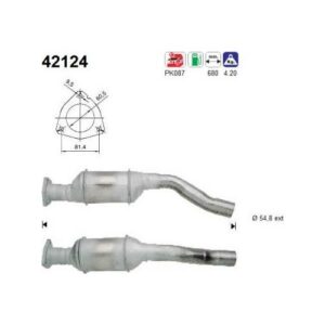 AS 42124 - Catalyseur