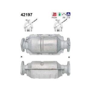 AS 42197 - Catalyseur
