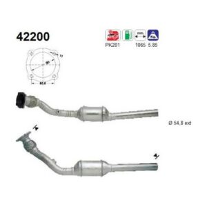 AS 42200 - Catalyseur