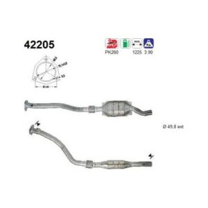 AS 42205 - Catalyseur