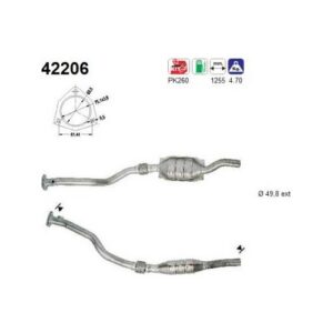 AS 42206 - Catalyseur