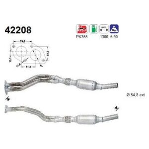 AS 42208 - Catalyseur